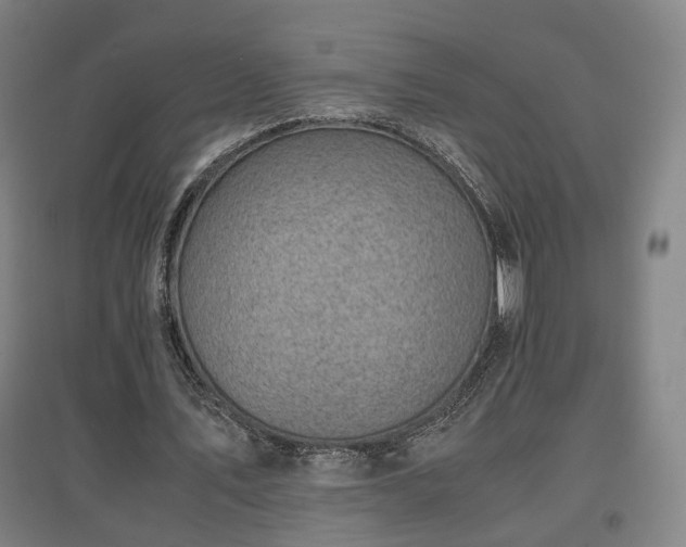 X0000096960579200802151238