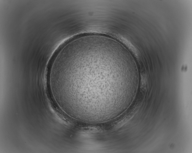 X0000096960580200802151238