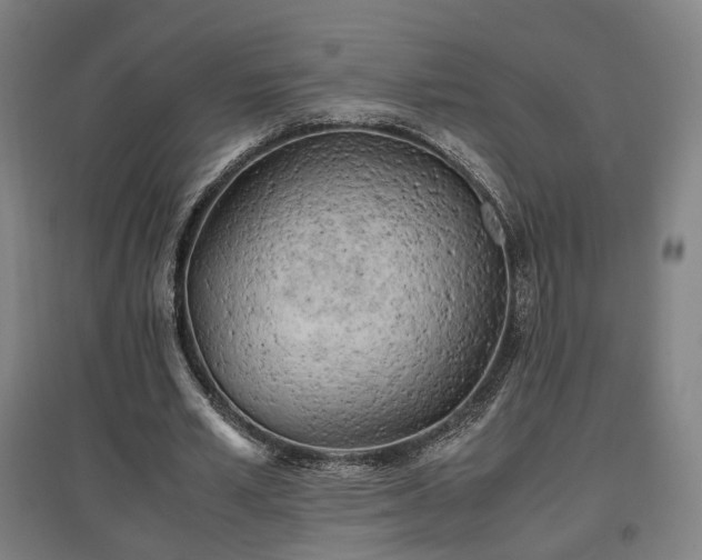 X0000096960581200802151238