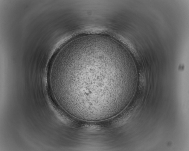 X0000096960582200802151238