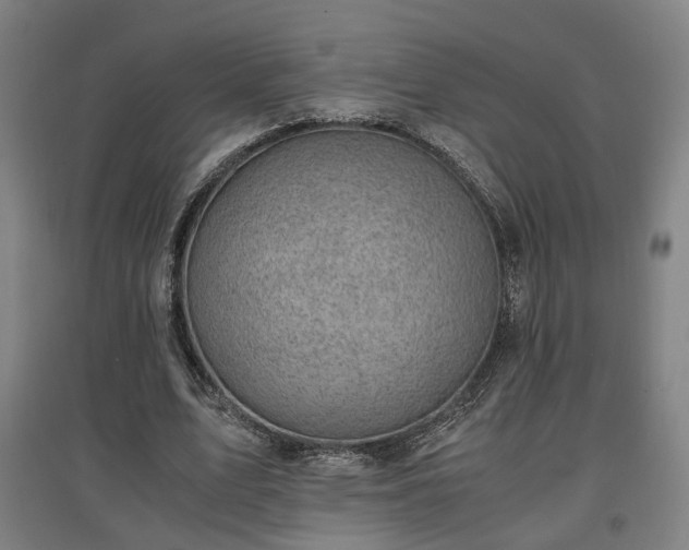 X0000096960583200802151238