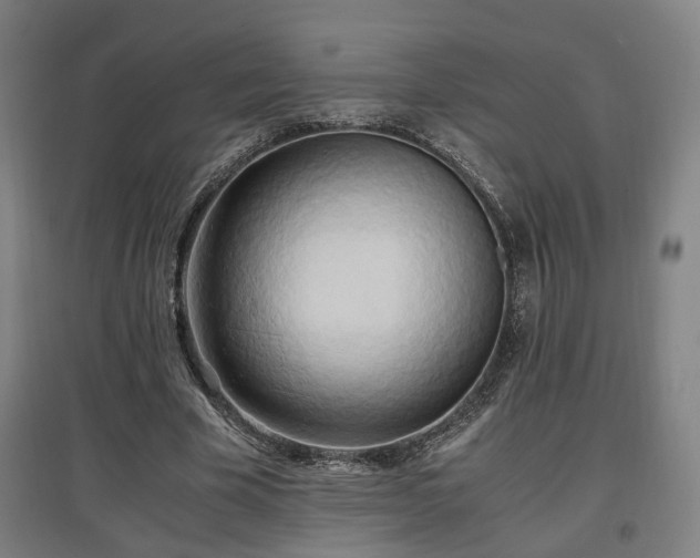 X0000096960585200802151238