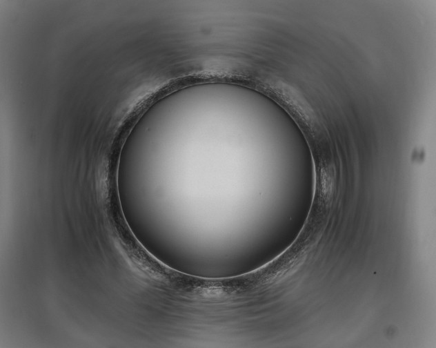 X0000096960588200802151238