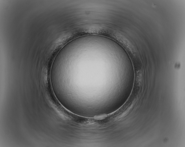 X0000096960589200802151238