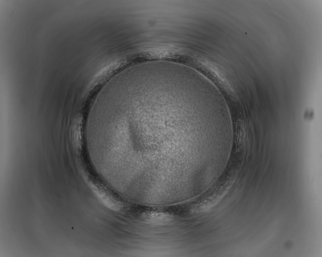 X0000096960590200802151238