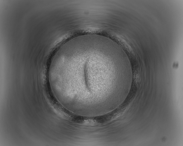 X0000096960591200802151238