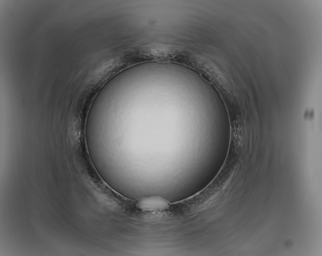 X0000096960593200802151238