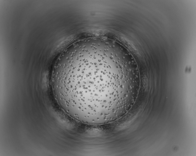 X0000096960594200802151238