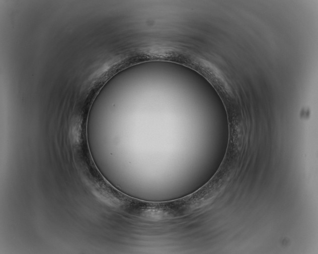 X0000096960596200802151238