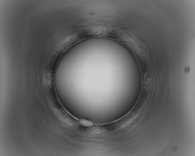 X0000096960597200802151238