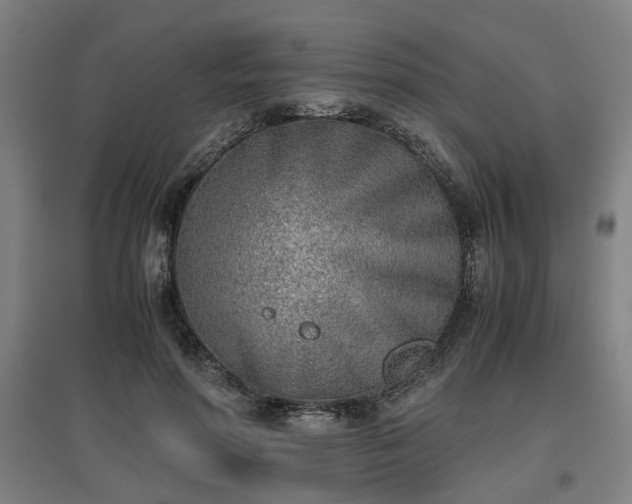 X0000096960598200802151238