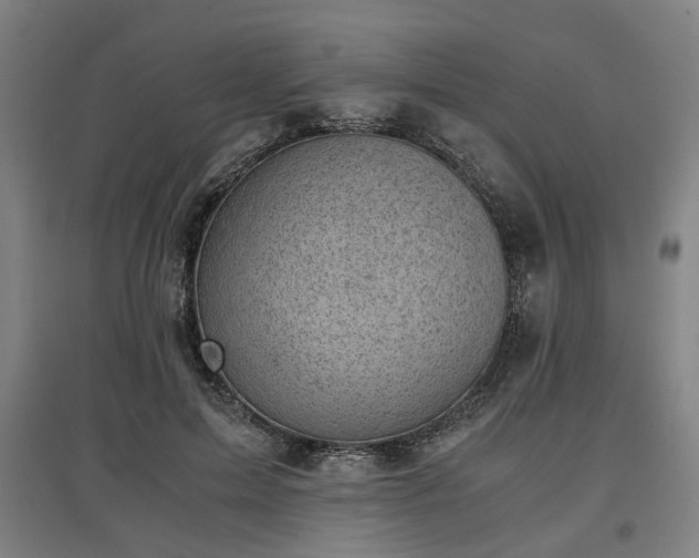 X0000096960599200802151238