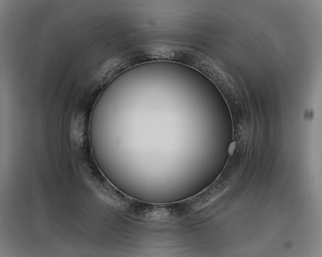 X0000096960600200802151237