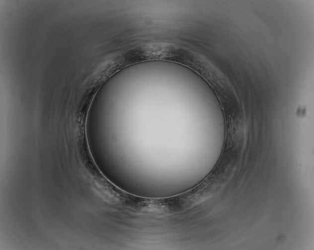 X0000096960601200802151237