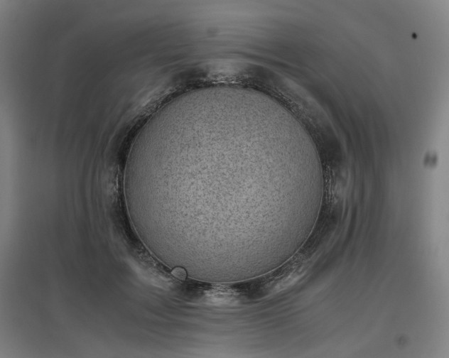 X0000096960603200802151237