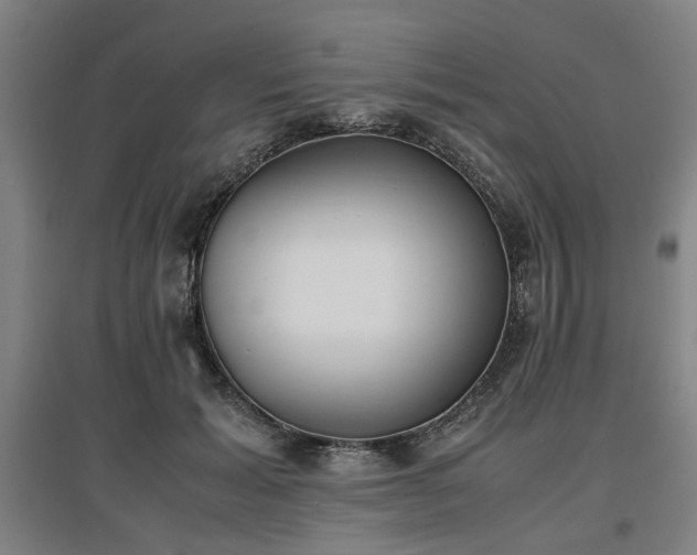 X0000096960605200802151237