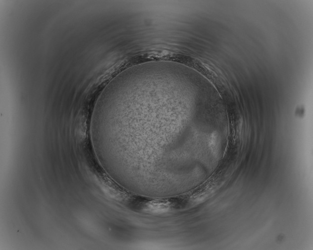 X0000096960606200802151237