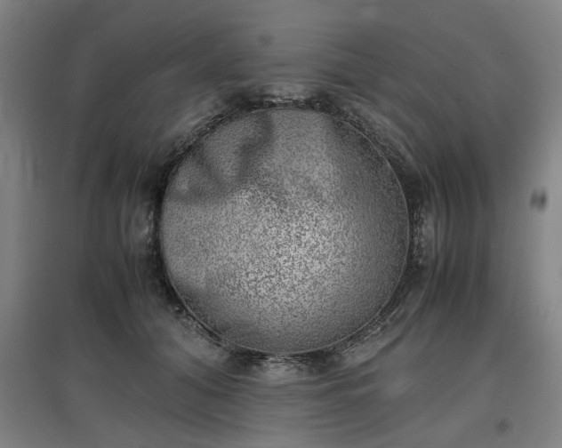 X0000096960608200802151237