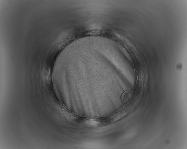 X0000096960610200802151237