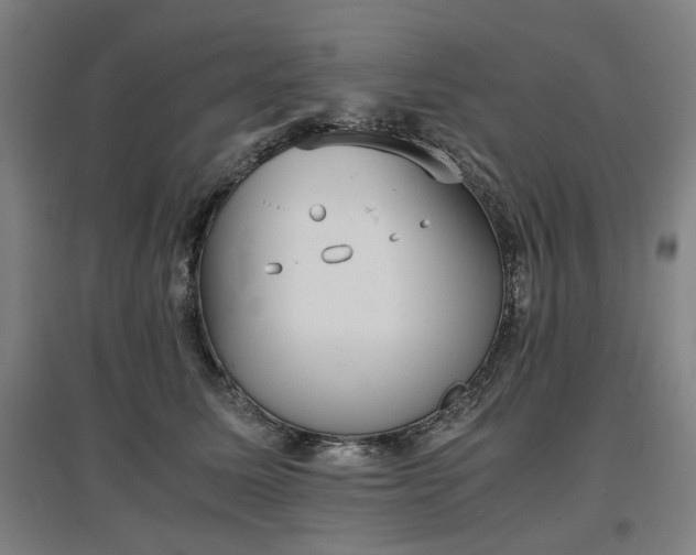 X0000096960611200802151237