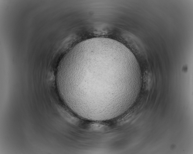 X0000096960614200802151237