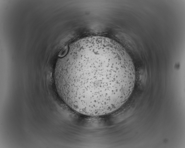 X0000096960615200802151237