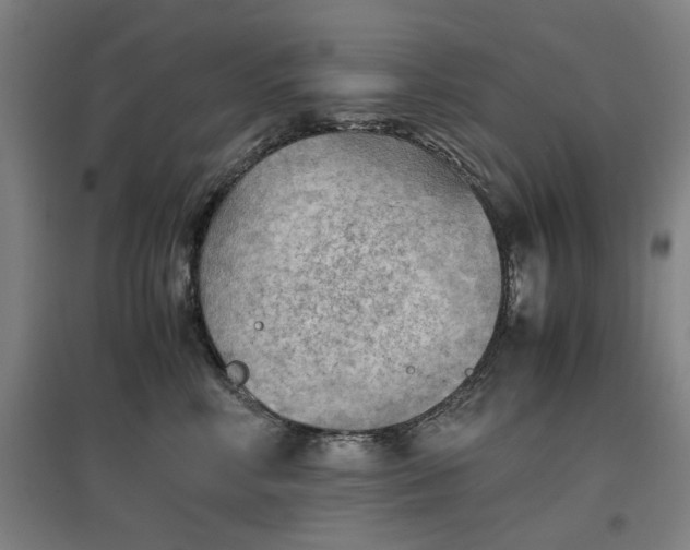 X0000096960618200802151237