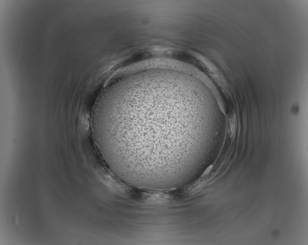 X0000096960621200802151237