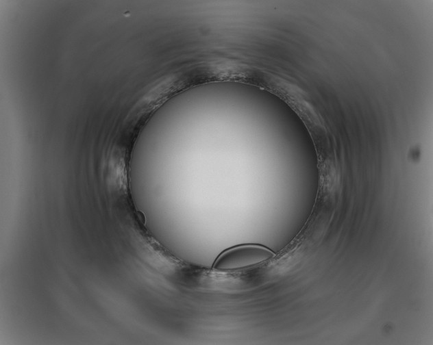 X0000096960622200802151237