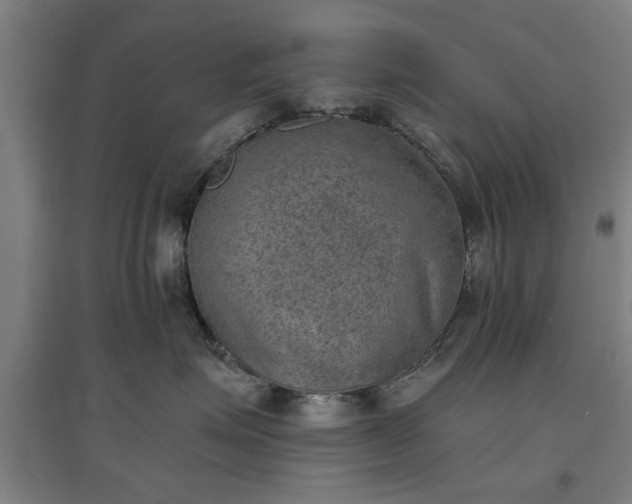 X0000096960623200802151237