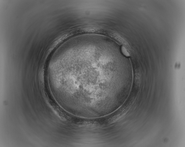 X0000096960626200802151237