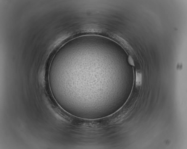 X0000096960627200802151237