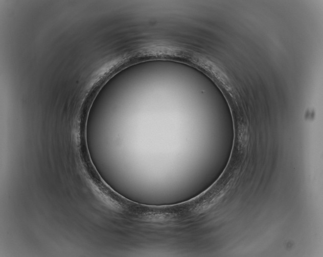 X0000096960629200802151237