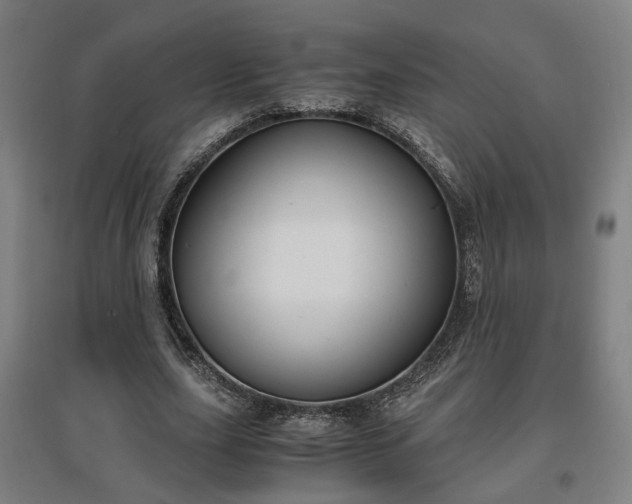 X0000096960631200802151237