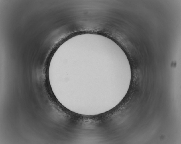 X0000096960632200802151237