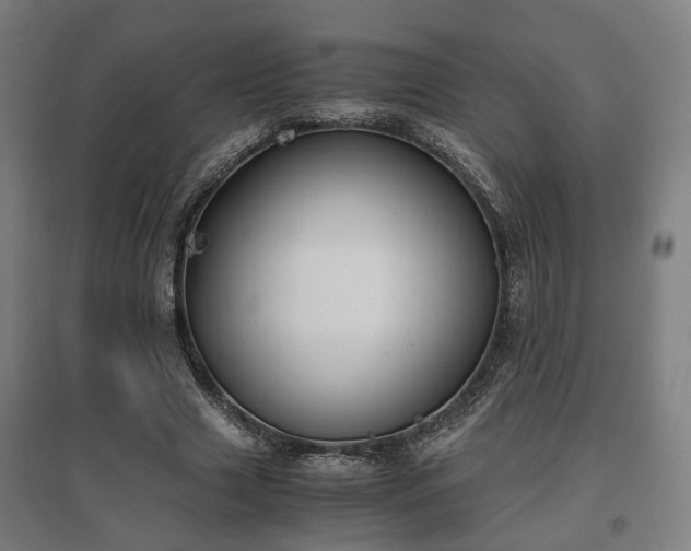 X0000096960633200802151237