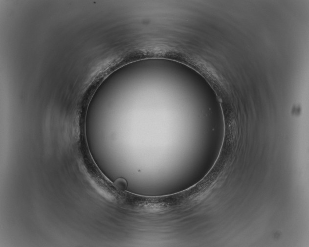 X0000096960638200802151237