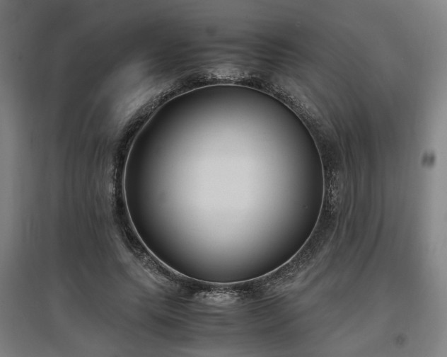 X0000096960639200802151237