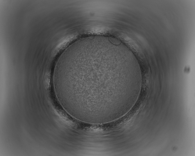 X0000096960640200802151237