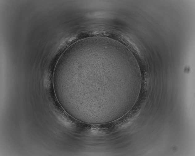 X0000096960641200802151237