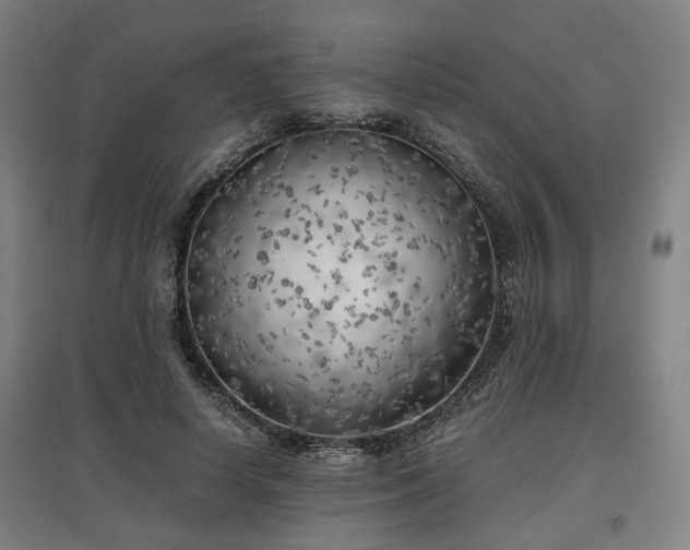 X0000096960642200802151237