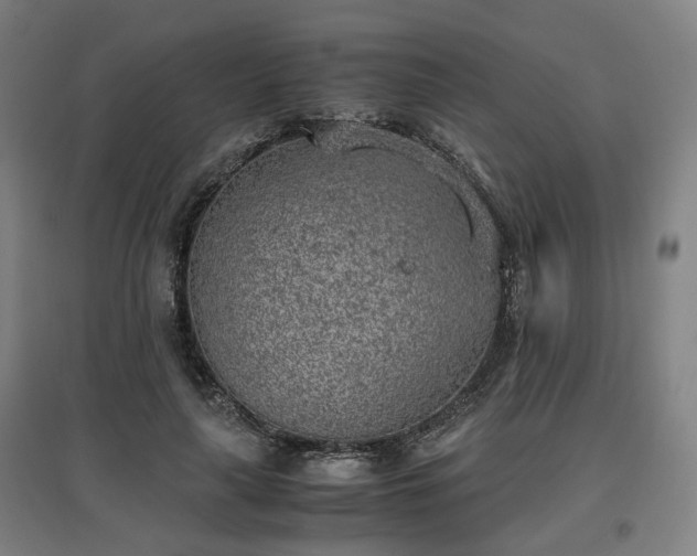 X0000096960643200802151237