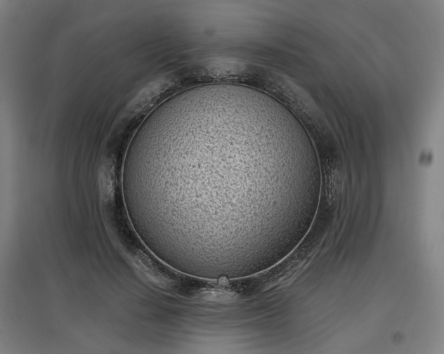 X0000096960644200802151237