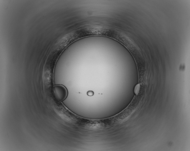 X0000096960646200802151237