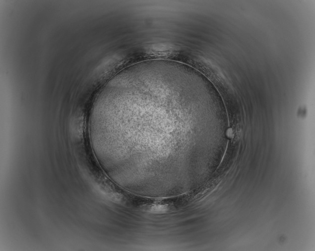 X0000096960647200802151237