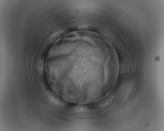 X0000096960648200802151237