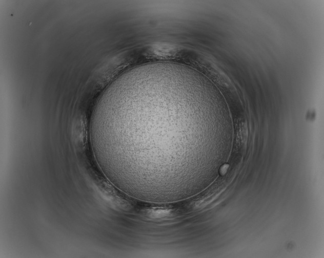 X0000096960651200802151237