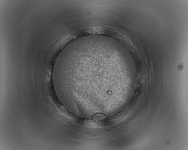 X0000096960652200802151237