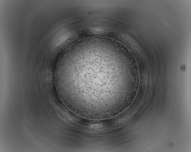 X0000096960653200802151237