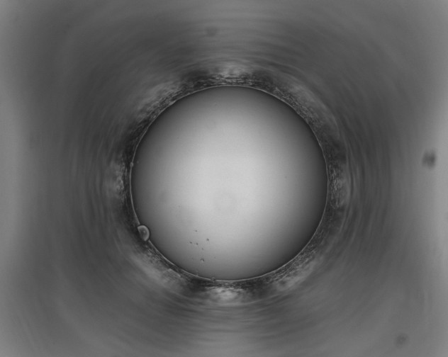 X0000096960654200802151237